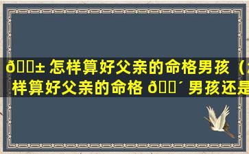 🐱 怎样算好父亲的命格男孩（怎样算好父亲的命格 🐴 男孩还是女孩）